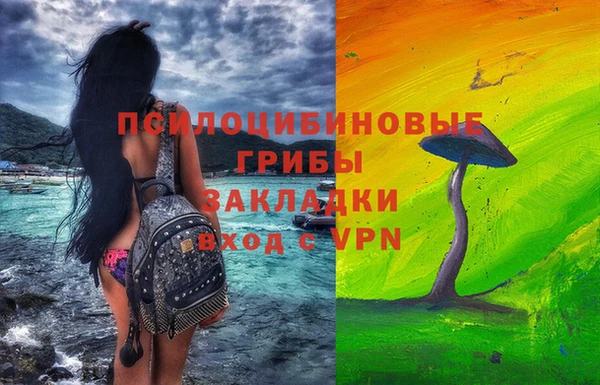 ГАЛЛЮЦИНОГЕННЫЕ ГРИБЫ Верея