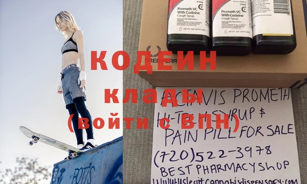 ГАЛЛЮЦИНОГЕННЫЕ ГРИБЫ Верея