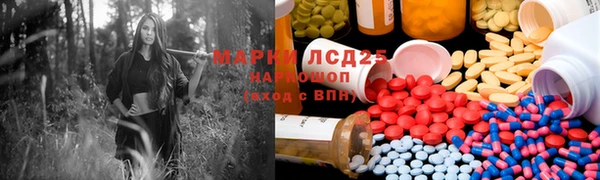 ГАЛЛЮЦИНОГЕННЫЕ ГРИБЫ Верея